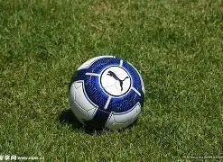 中国花剑队,奥运团体赛,积分赛告终,狗子28(中国)官方网站,狗子28H5官方网站,狗子28大舞台,狗子28官网平台