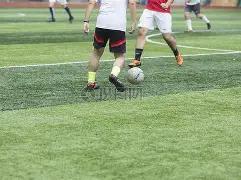 狗子,官网平台,资讯,狗子28(中国)官方网站,狗子28H5官方网站,狗子28大舞台,狗子28官网平台