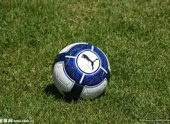 狗子,官网平台,产品,狗子28(中国)官方网站,狗子28H5官方网站,狗子28大舞台,狗子28官网平台