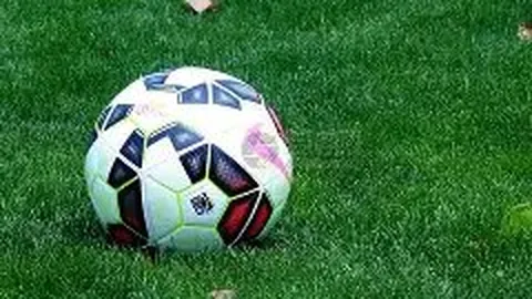 狗子28官网平台 资讯 100503 5vm