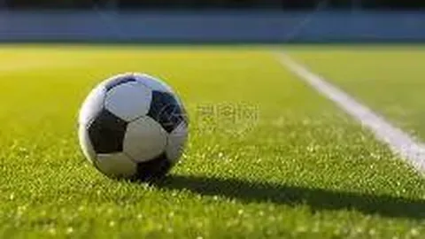 狗子28官网平台 产品 100712 ry0