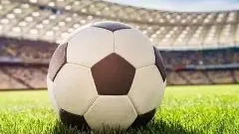 狗子28官网平台 资讯 100622 7sz