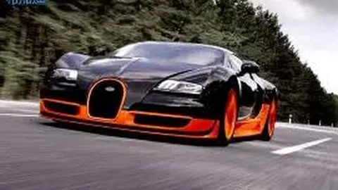 狗子28官网平台 产品 092016 dle