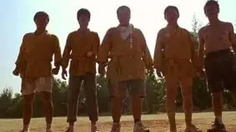 狗子28官网平台