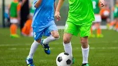 狗子28官网平台 资讯 100721 wmn