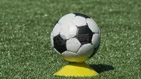 狗子28官网平台 产品 100812 7it