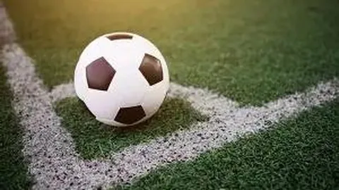 狗子28官网平台 资讯 100931 148