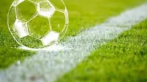 俞敏洪公开致歉：否认南极之行意在炫耀