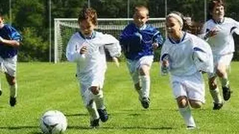 TP安卓版下载攻略