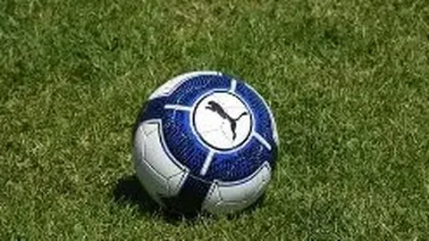 狗子28官网平台