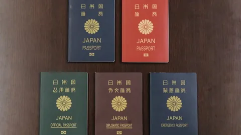 狗子28官网平台 产品 090851 zgf